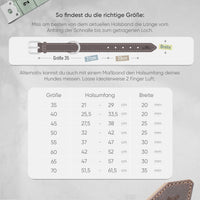 Hundehalsband aus Leder - Amstelpark Kollektion in Dark Chocolate