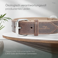 Hundehalsband aus Leder - Amstelpark Kollektion in Dark Chocolate