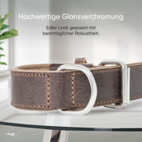 Hundehalsband aus Leder - Amstelpark Kollektion in Dark Chocolate