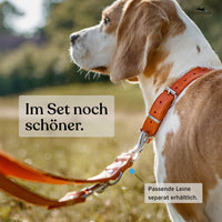 NEU: Hundehalsband aus Leder - Alsterufer Kollektion in Sunset Orange