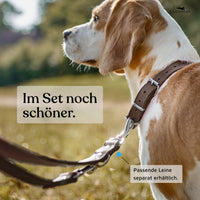 NEU: Hundehalsband aus Leder - Alsterufer Kollektion in Chocolate