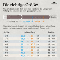 NEU: Hundehalsband aus Leder - Alsterufer Kollektion in Sunset Orange