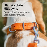 NEU: Hundehalsband aus Leder - Alsterufer Kollektion in Sunset Orange