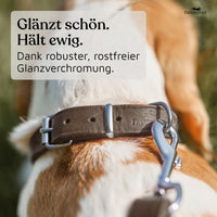 NEU: Hundehalsband aus Leder - Alsterufer Kollektion in Chocolate