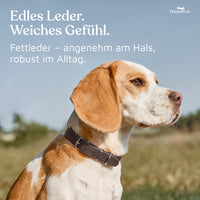 NEU: Hundehalsband aus Leder - Alsterufer Kollektion in Chocolate