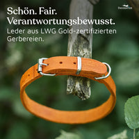 NEU: Hundehalsband aus Leder - Alsterufer Kollektion in Sunset Orange