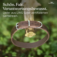 NEU: Hundehalsband aus Leder - Alsterufer Kollektion in Chocolate