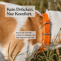 NEU: Hundehalsband aus Leder - Alsterufer Kollektion in Sunset Orange