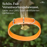 NEU: Hundehalsband aus Leder - Alsterufer Kollektion in Sunset Orange