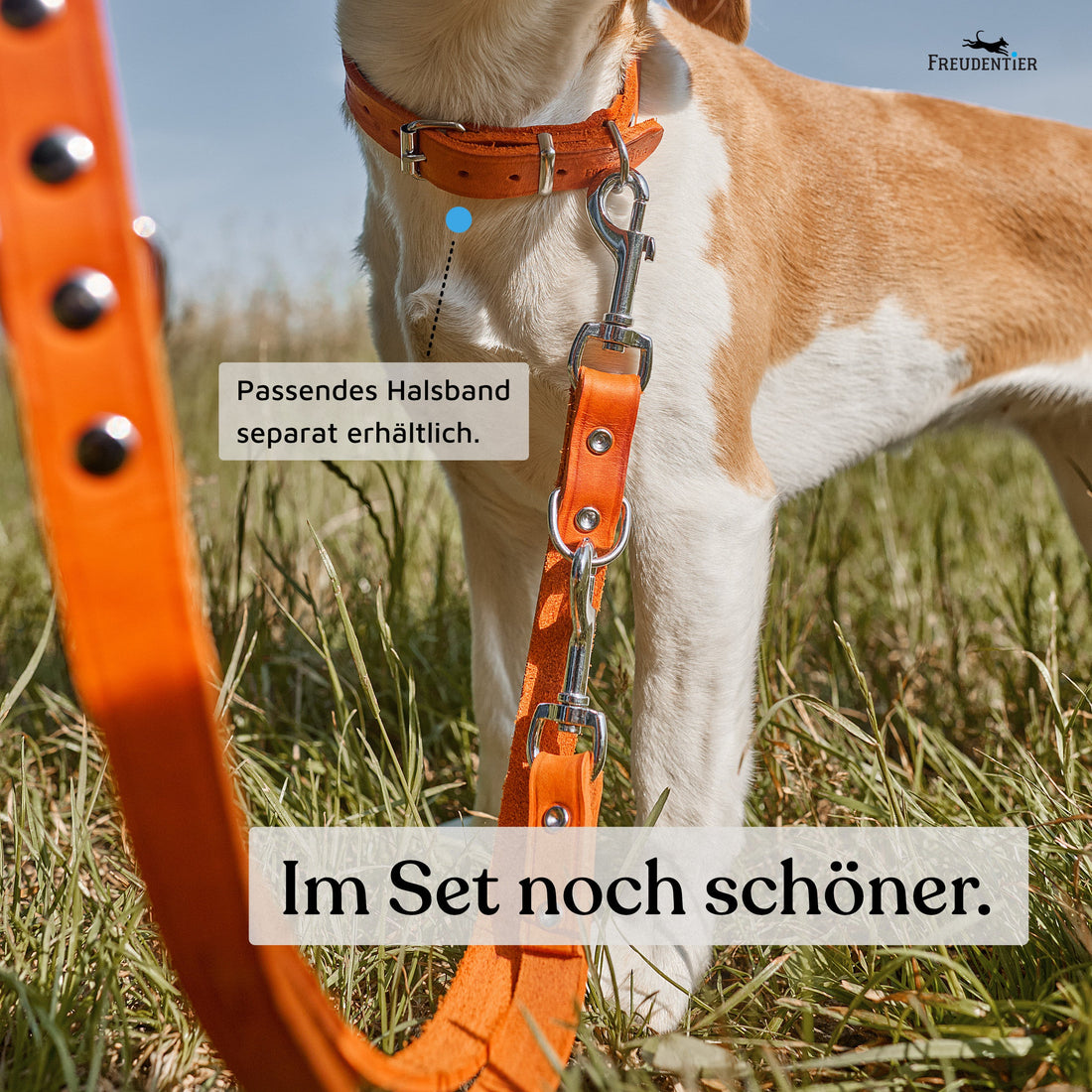 NEU: Hundeleine aus Leder - Alsterufer Kollektion in Sunset Orange