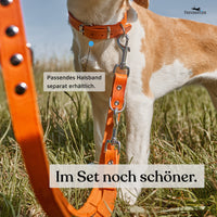 NEU: Hundeleine aus Leder - Alsterufer Kollektion in Sunset Orange