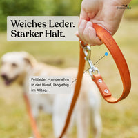 NEU: Hundeleine aus Leder - Alsterufer Kollektion in Sunset Orange