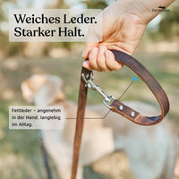 NEU: Hundeleine aus Leder - Alsterufer Kollektion in Chocolate