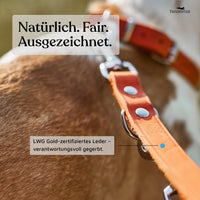 NEU: Hundeleine aus Leder - Alsterufer Kollektion in Sunset Orange