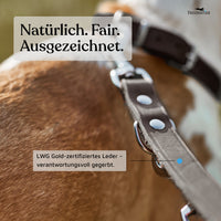 NEU: Hundeleine aus Leder - Alsterufer Kollektion in Chocolate