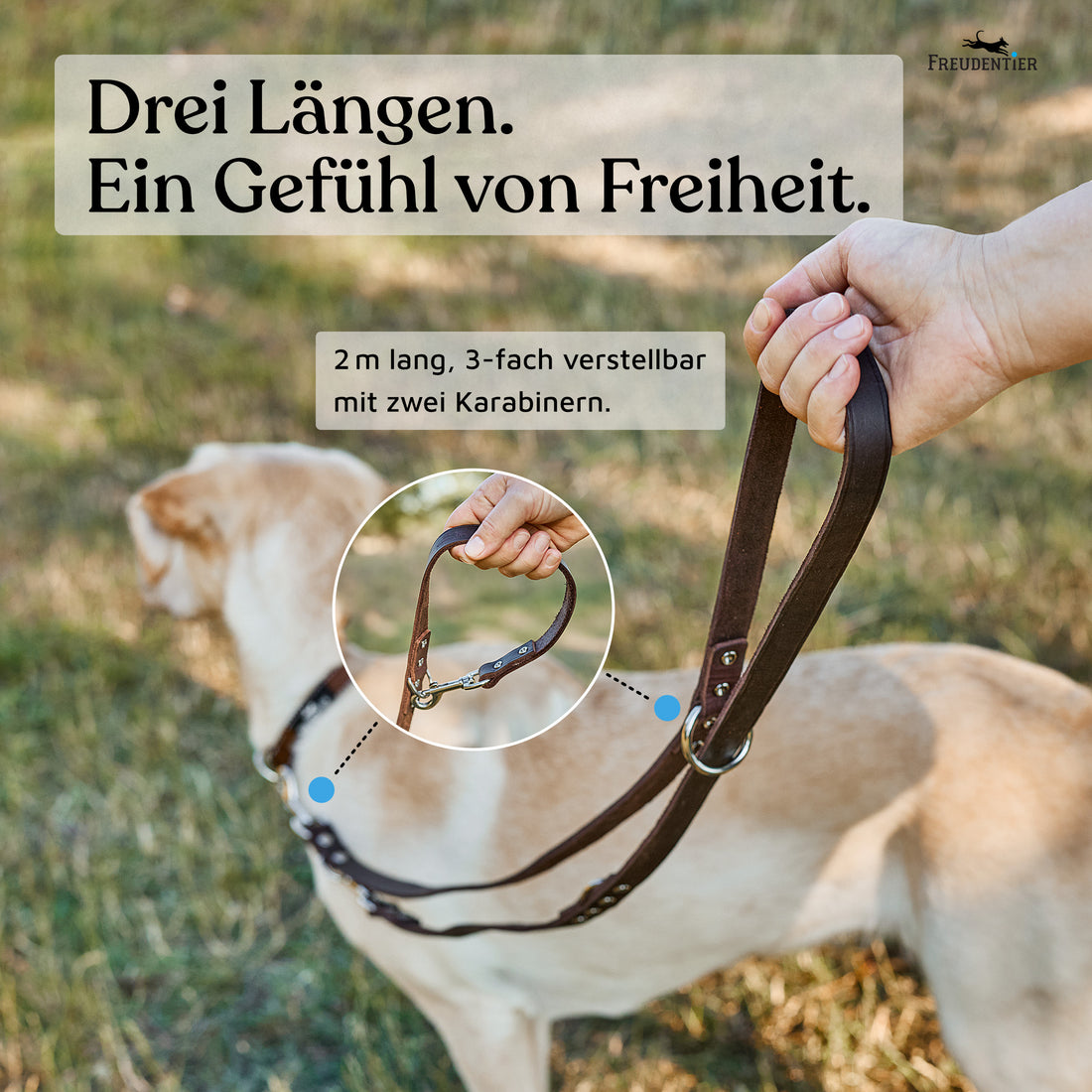 NEU: Hundeleine aus Leder - Alsterufer Kollektion in Chocolate