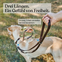 NEU: Hundeleine aus Leder - Alsterufer Kollektion in Chocolate