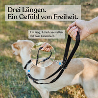 NEU: Hundeleine aus Leder - Alsterufer Kollektion in Midnight