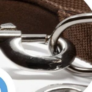 Detailaufnahme