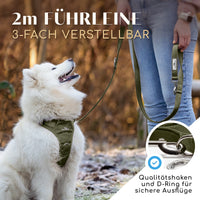NEU: Hundeleine mit weicher Polsterung - Clyde Kollektion in Forest Green