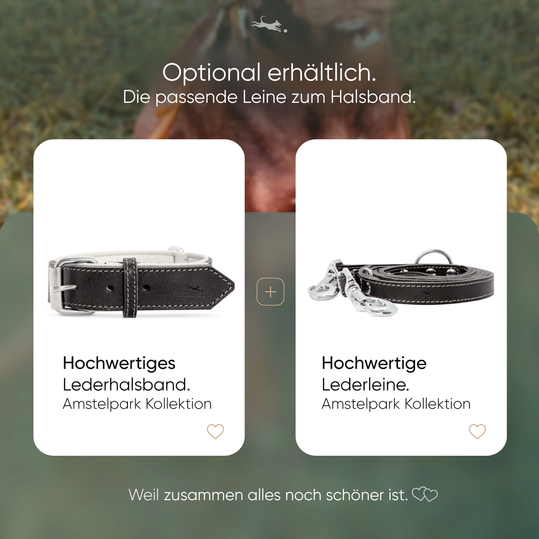 Hundehalsband aus Leder - Amstelpark Kollektion in Midnight