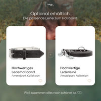 Hundehalsband aus Leder - Amstelpark Kollektion in Midnight