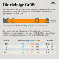 Hundehalsband - Clyde Kollektion in Sunset Orange