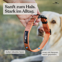 Hundehalsband - Clyde Kollektion in Sunset Orange