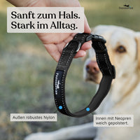 Hundehalsband - Clyde Kollektion in schwarz