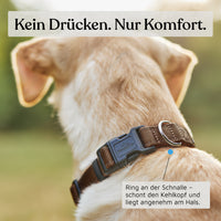 Hundehalsband - Clyde Kollektion in Chocolate