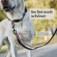 Hundehalsband - Clyde Kollektion in Chocolate