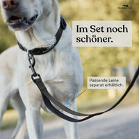 Hundehalsband - Clyde Kollektion in schwarz