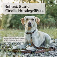 NEU: Umhängeleine 3m - UrbanFlow Kollektion in Chocolate