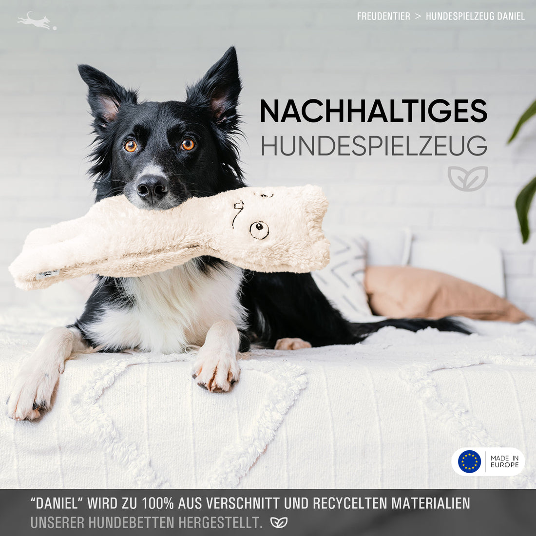 Nachhaltiges Plüschtier für Hunde - Daniel