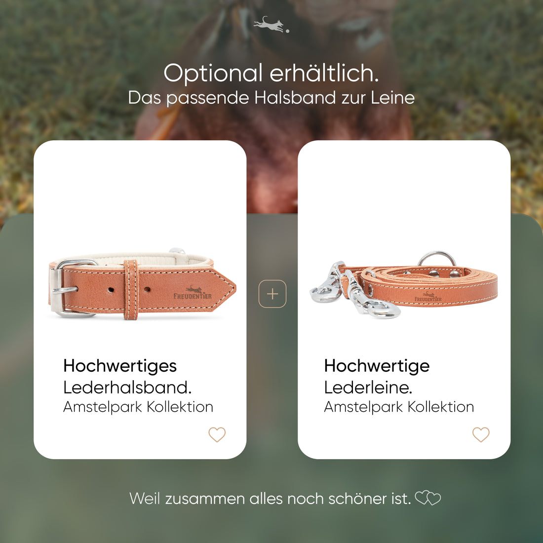 Hundeleine aus Leder - Amstelpark Kollektion in Cognac