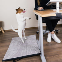 Faltbare Outdoor Hundematte für unterwegs