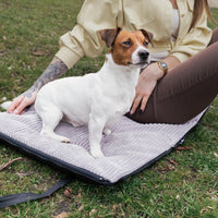 Faltbare Outdoor Hundematte für unterwegs