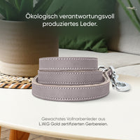 Hundeleine aus Leder - Amstelpark Kollektion in Graubraun