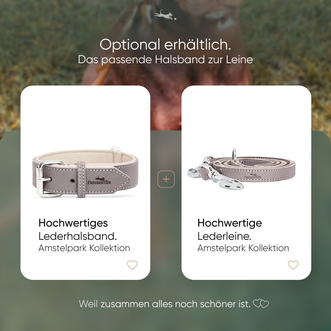 Hundeleine aus Leder - Amstelpark Kollektion in Graubraun
