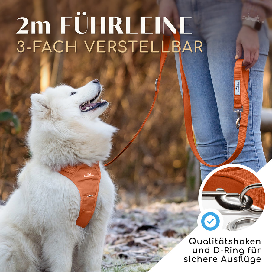 Führleine mit weicher Polsterung - Clyde Kollektion in Sunset Orange