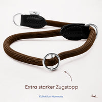 Hundehalsband mit Zugstopp - Harmony Kollektion in Chocolate