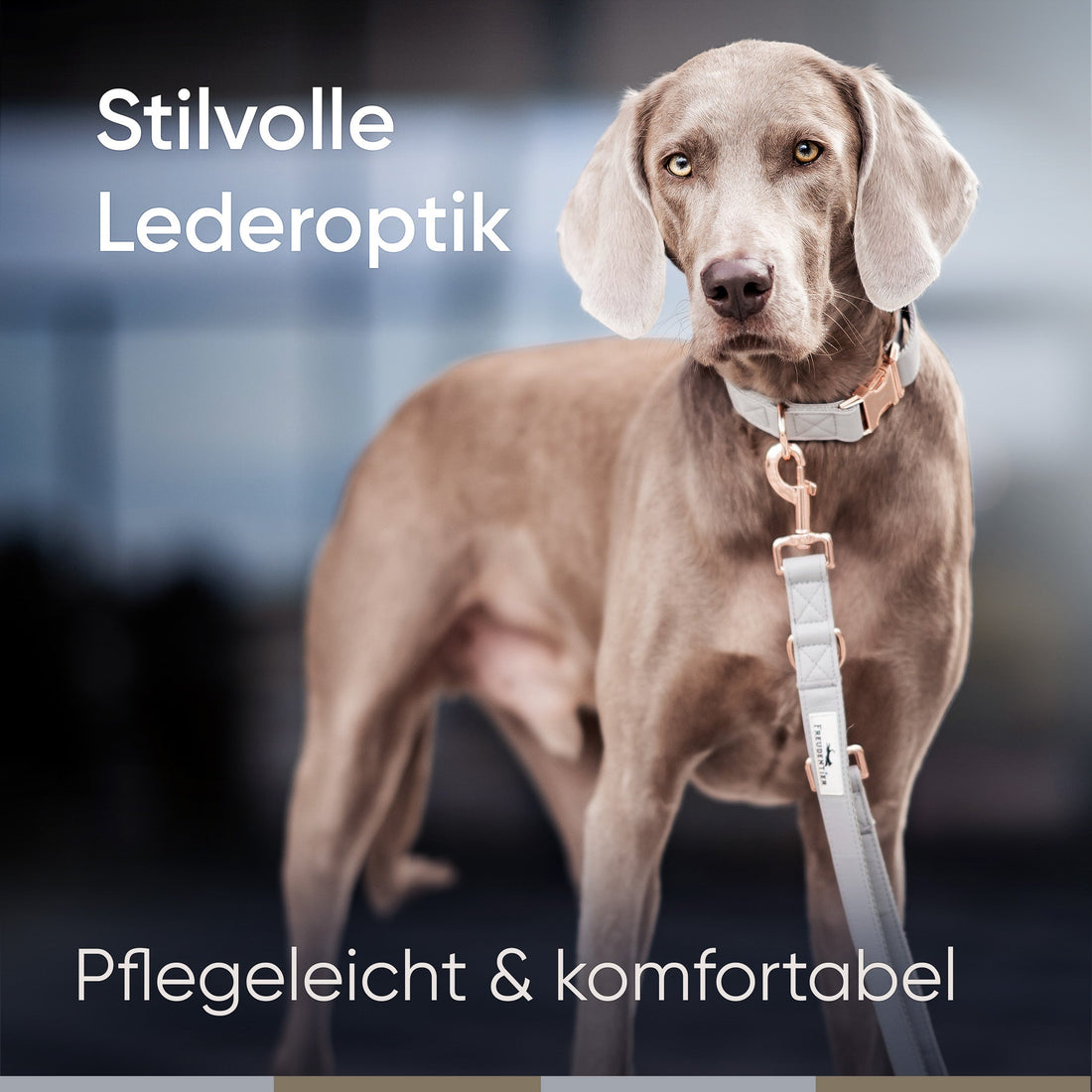 Hundeleine aus veganem Leder - Hyde Park Kollektion 2.0