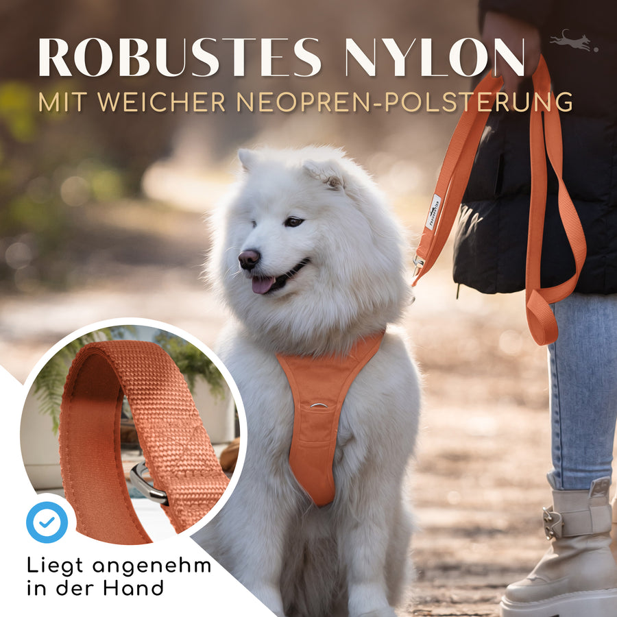 Führleine mit weicher Polsterung - Clyde Kollektion in Sunset Orange