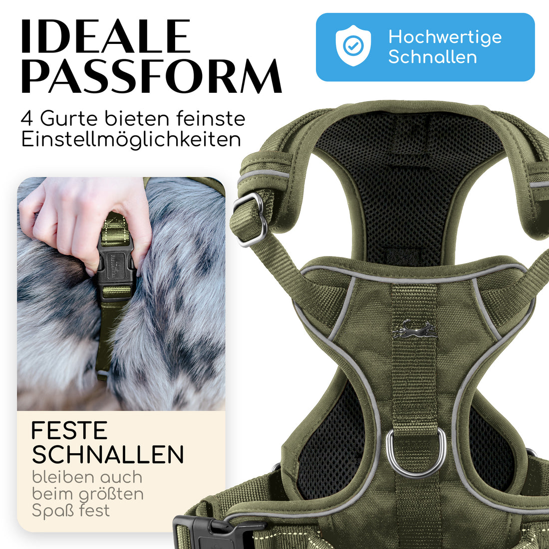 Gassi-Komplettset - Hundegeschirr & Leine im perfekt aufeinander abgestimmten Look