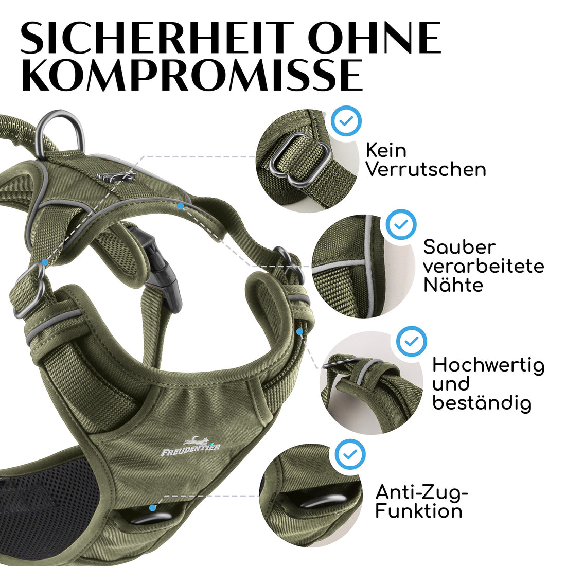 Gassi-Komplettset - Hundegeschirr & Leine im perfekt aufeinander abgestimmten Look