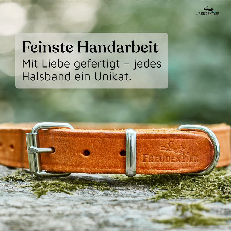 NEU: Hundehalsband aus Leder - Alsterufer Kollektion in Sunset Orange