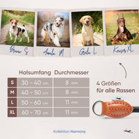 Hundehalsband mit Zugstopp - Harmony Kollektion in schwarz