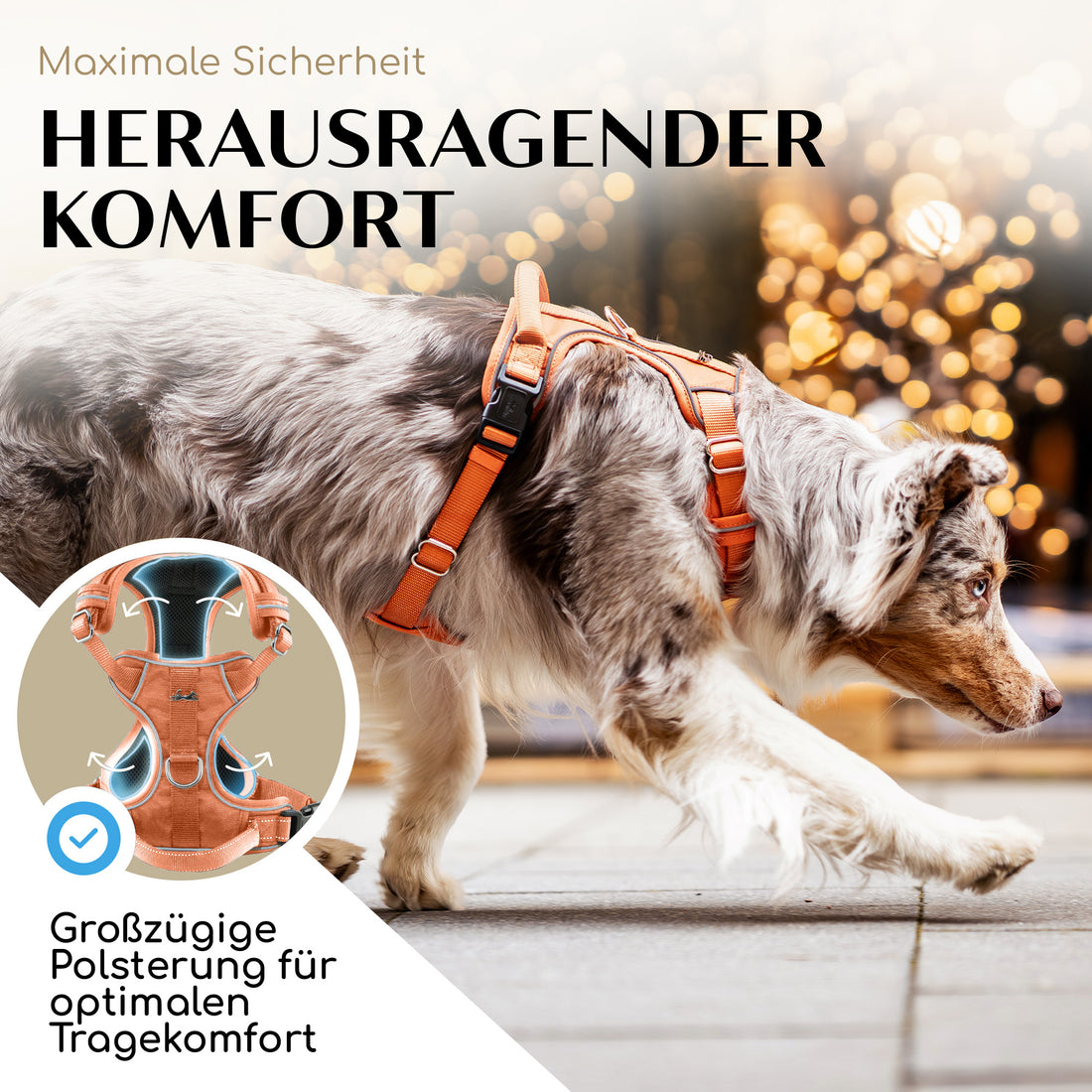 NEU: Atmungsaktives Hundegeschirr - Clyde Kollektion in Sunset Orange