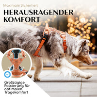 NEU: Atmungsaktives Hundegeschirr - Clyde Kollektion in Sunset Orange