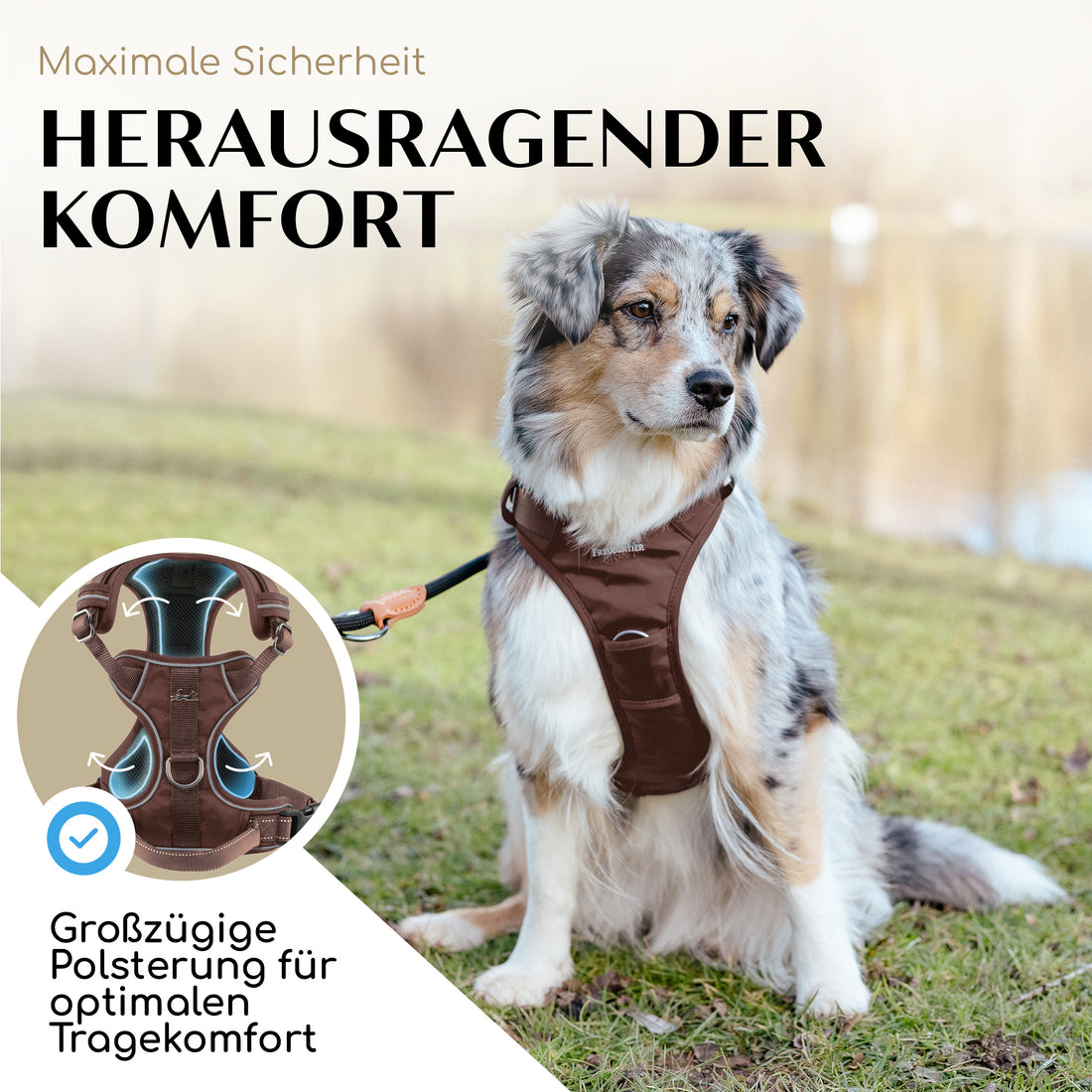 NEU: Atmungsaktives Hundegeschirr - Clyde Kollektion in Chocolate